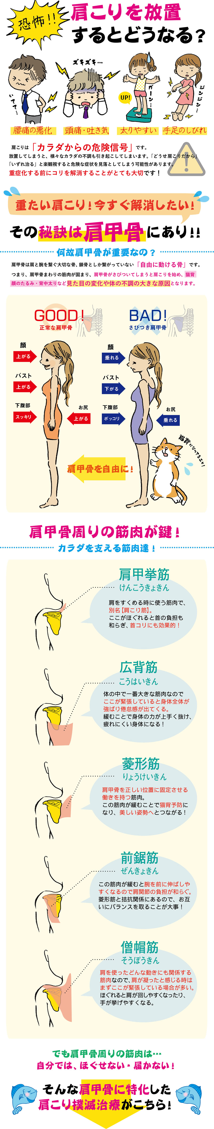 実は肩甲骨が重要だった！！