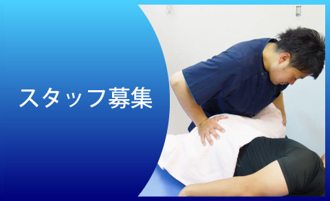 さかなスタッフ募集中